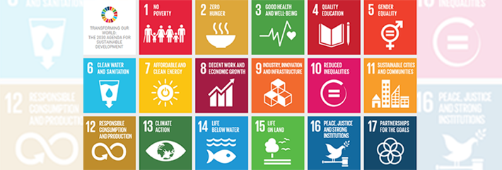 the 17 Sustainable Development Goals