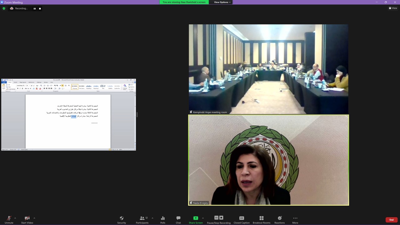 صورة: خلال اجتماع الخبراء الثاني - مشاركة افتراضية من منظمة مشاركة 