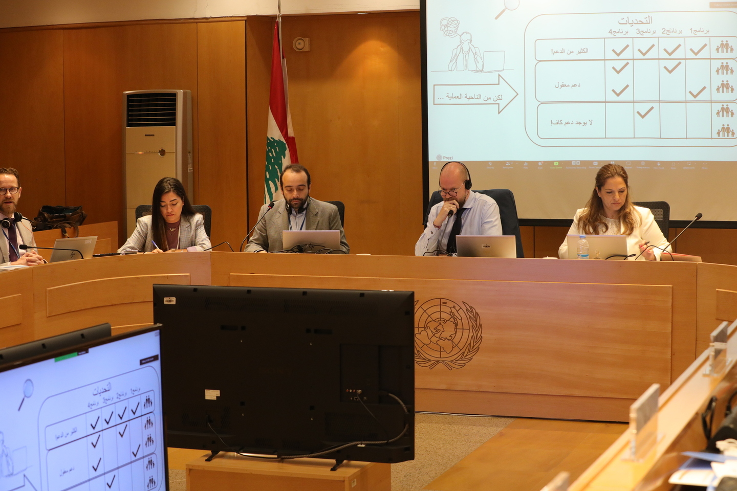 Eighth meeting of the Group of Experts on Social Protection Reform