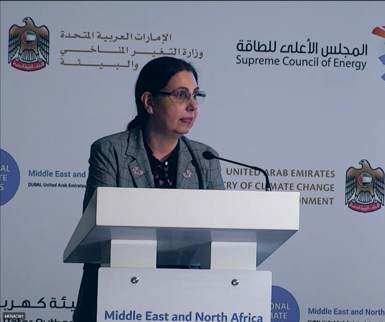 ES Rola Dashti at MENA Climate Week 