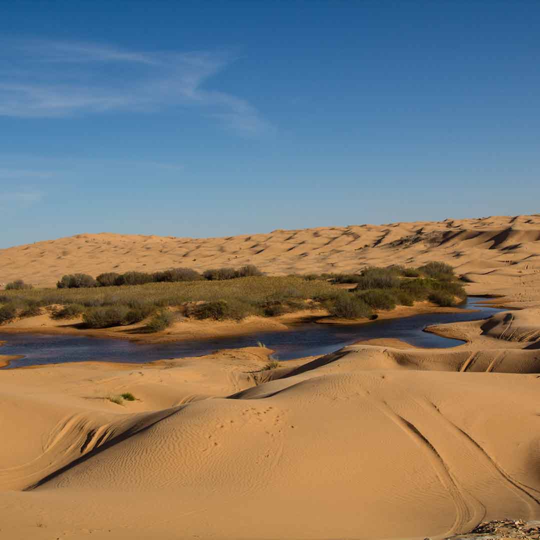 An oasis in Tunisia. Photo: Juergen Barth/iStock