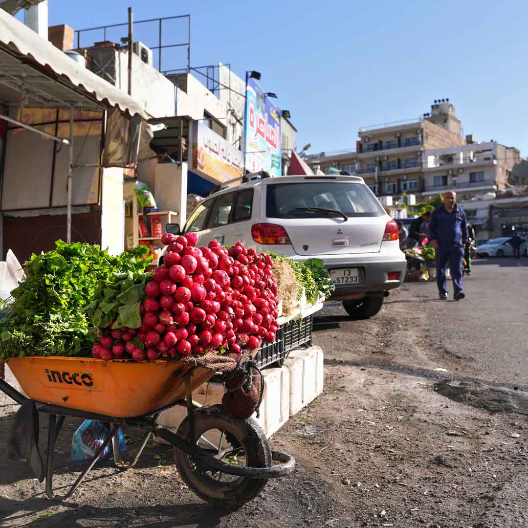 Jordan. Photo: Lubo Ivanko/iStock