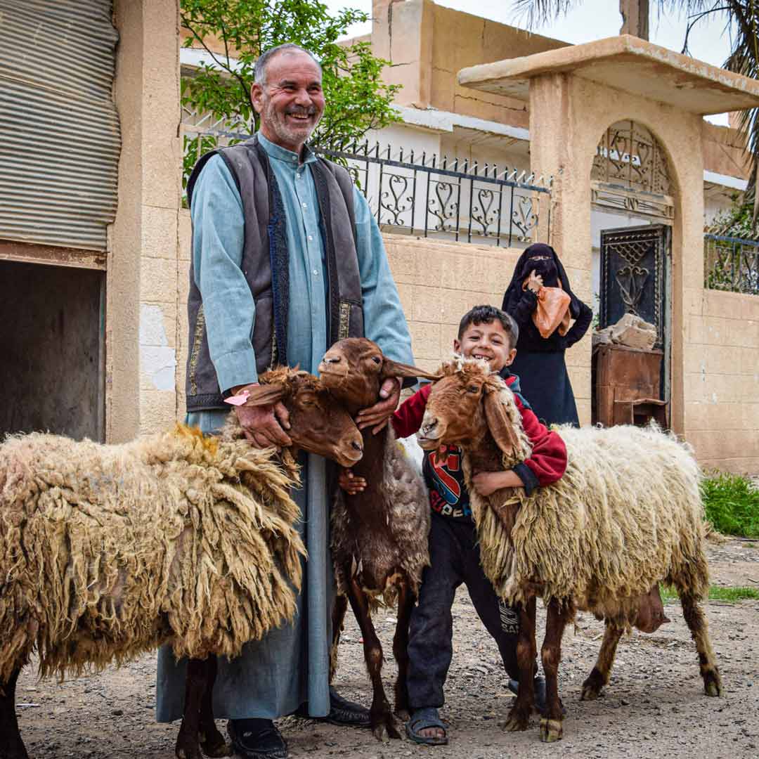 A family and their sheep in rural Syria. Photo: UNDP