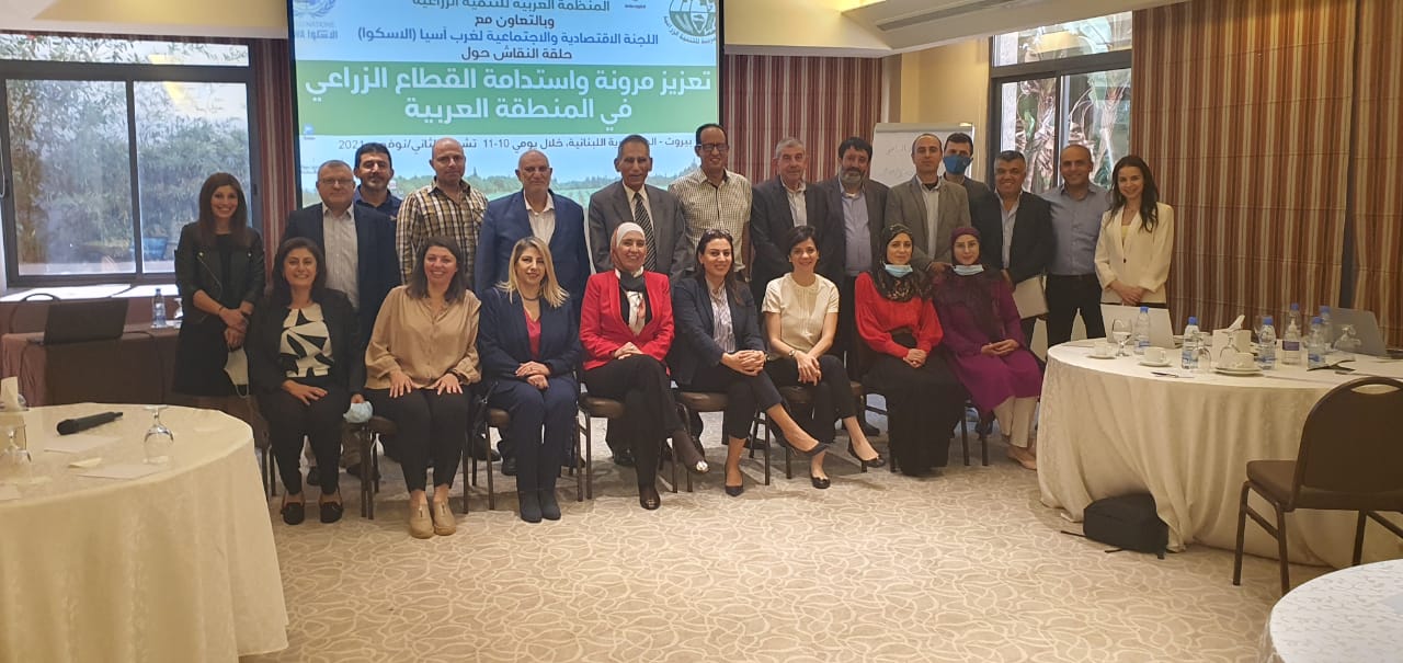 Consultation meeting in Beirut