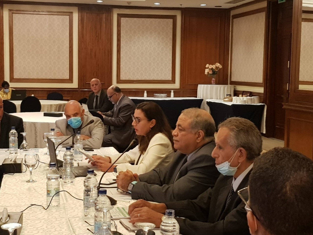 Consultation meeting in Cairo