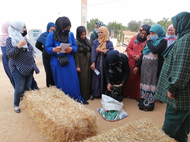 Group of participants in Tunisia workshop