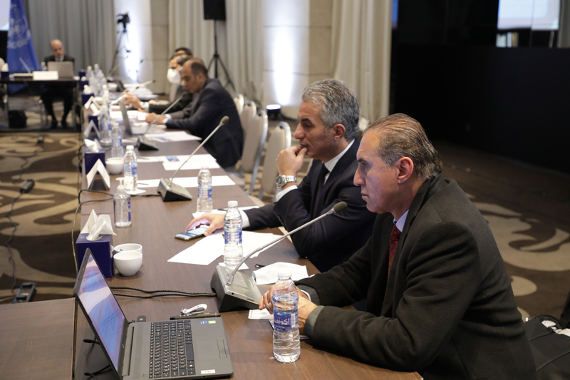 Technical Cooperation and Executive Committee Meetings Day 1