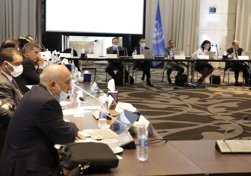 Technical Cooperation and Executive Committee Meetings Day 1