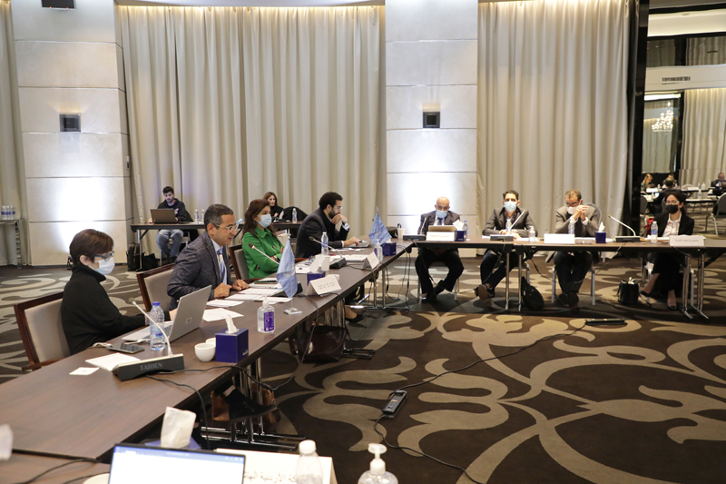 Technical Cooperation and Executive Committee Meetings Day 1