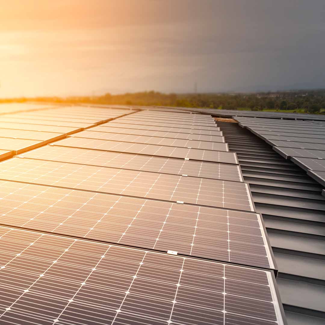 Solar panels at sunrise. Photo: iStock. 