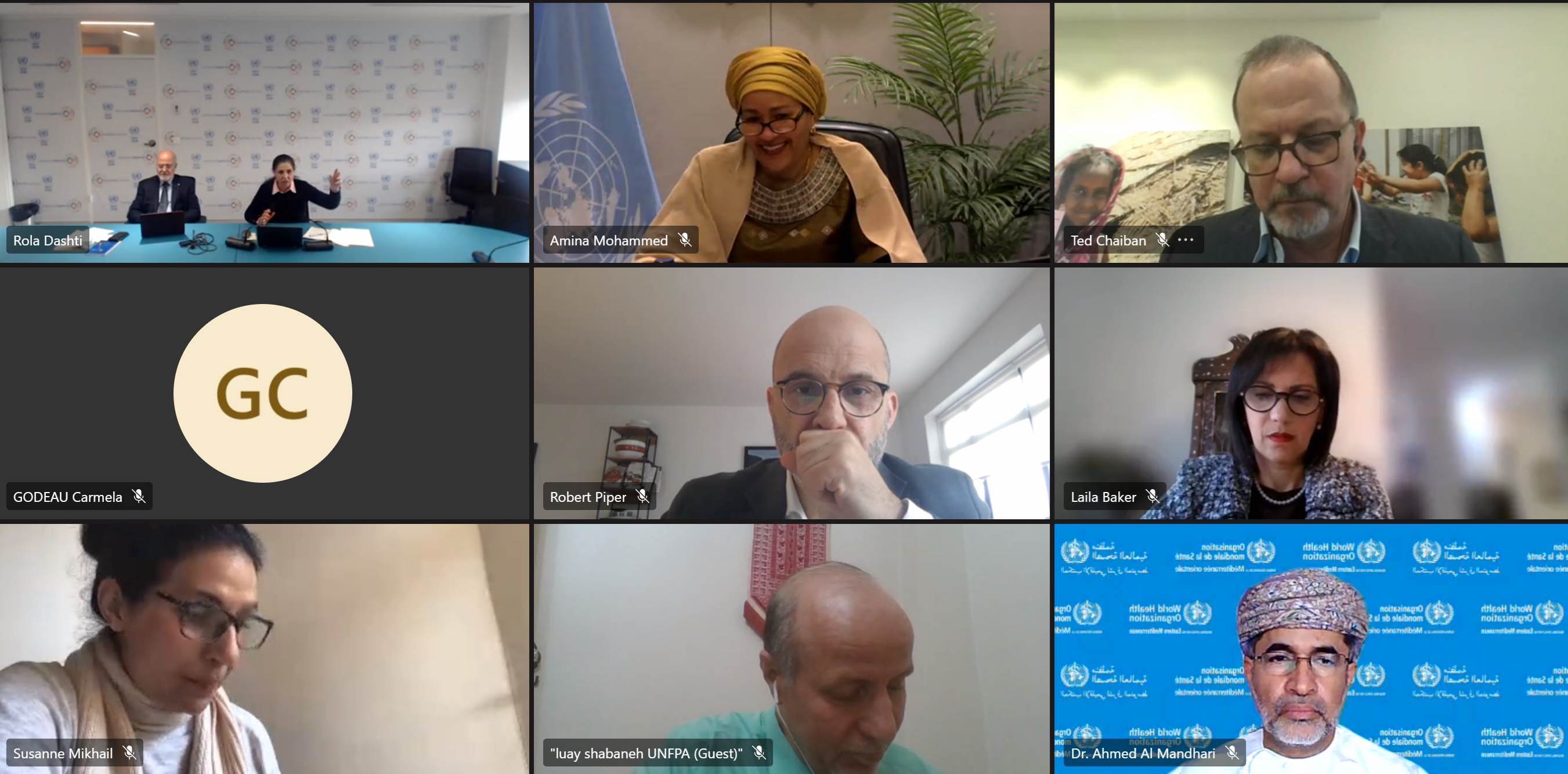 Screenshot showing participants in the virtual meeting