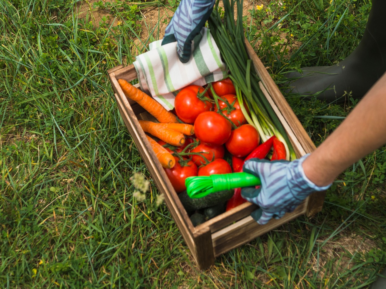 Vegetables in a wooden basket