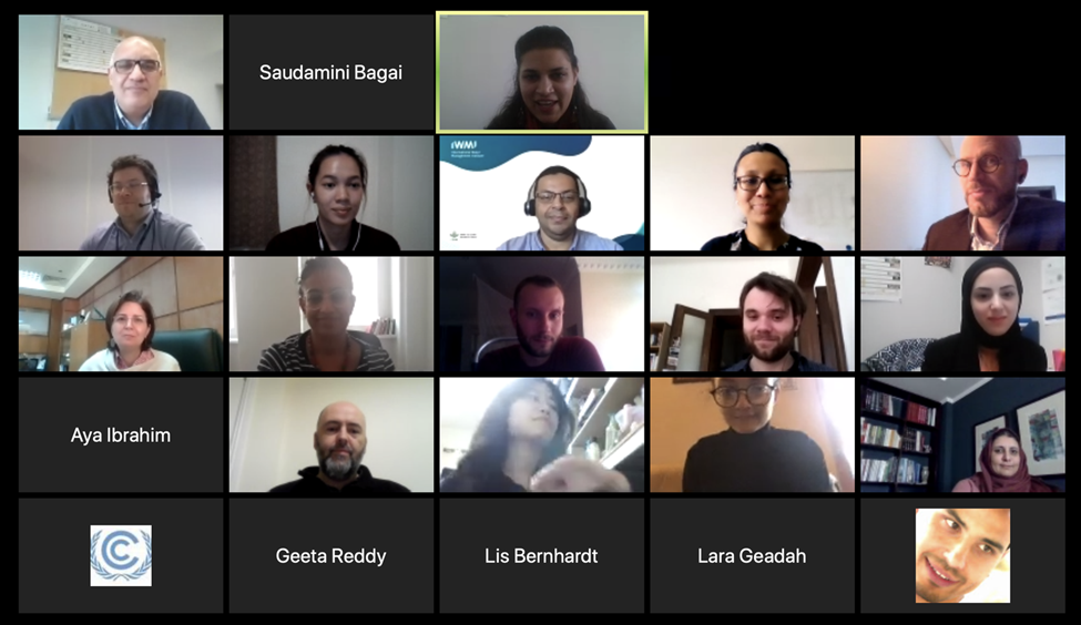 Screenshots showing participants in the webinar