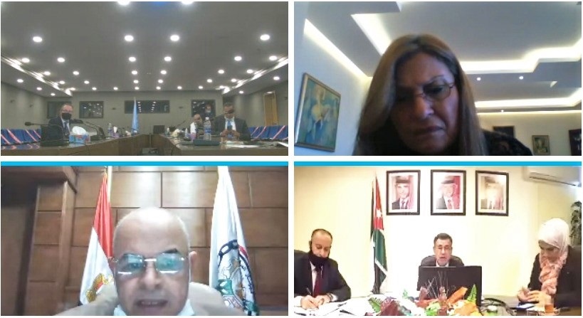 screenshot from the online meeting showcasing some of the conferees