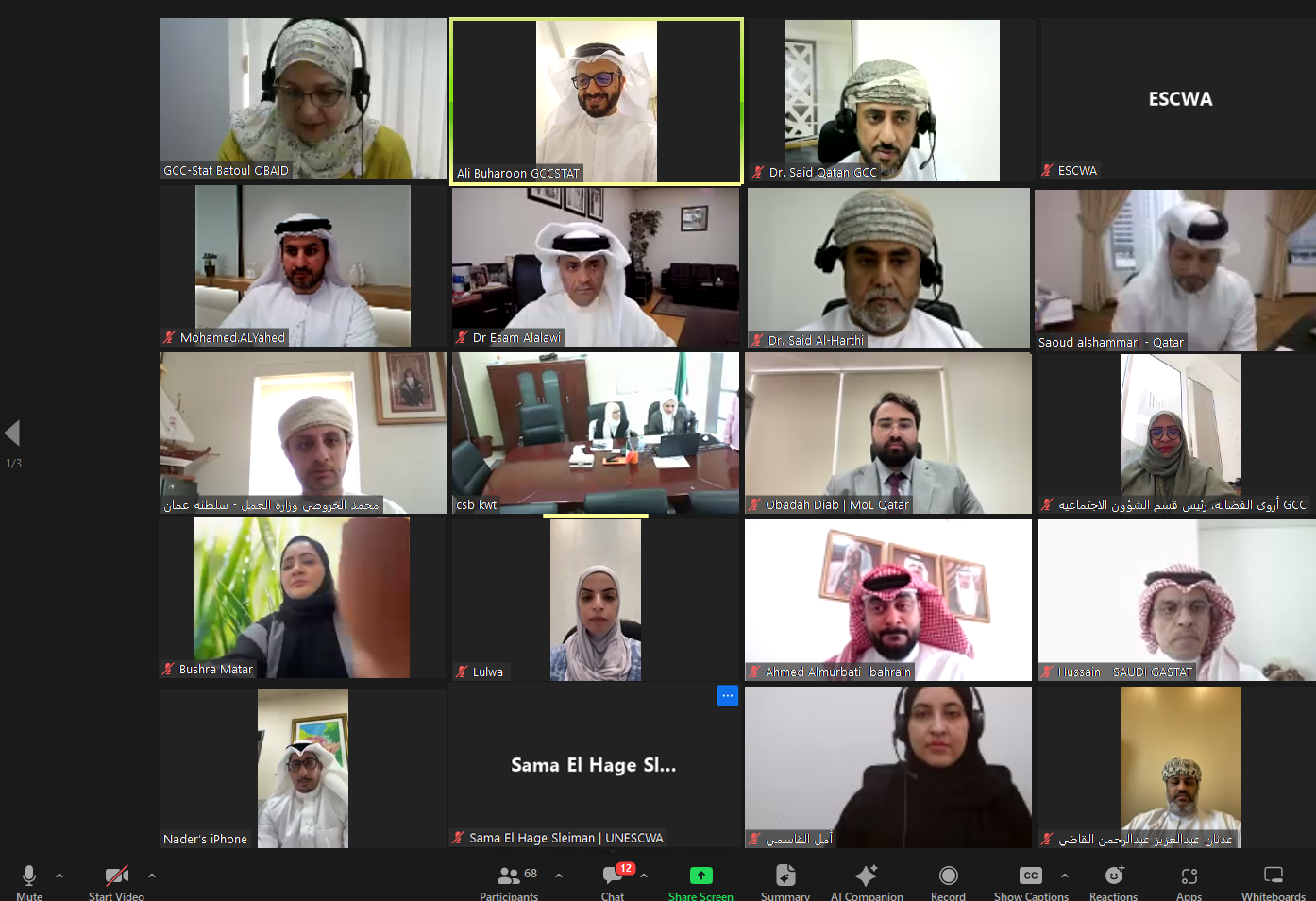 collage of pictures of participants in the webinar