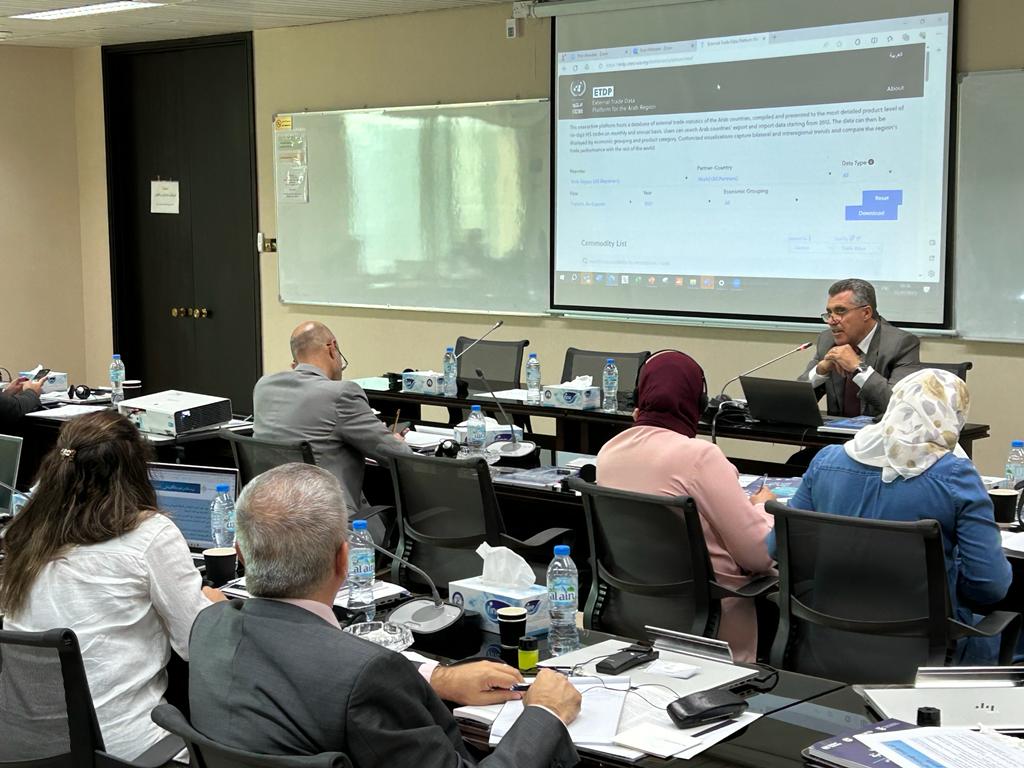 Photo of participants discussing  challenges faced by the Arab region and to comprehend its strategies for developing international digital trade statistics.