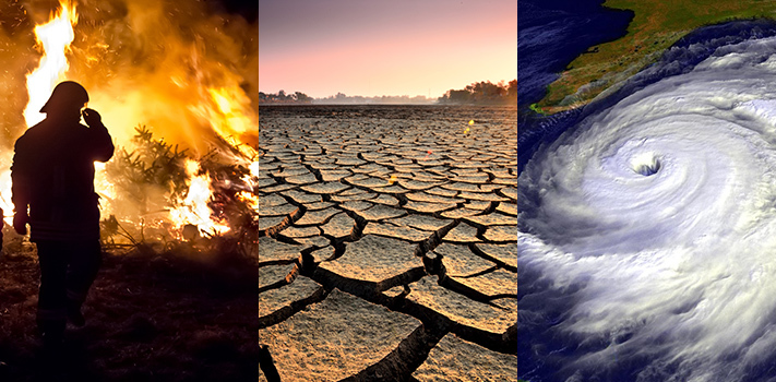 Three types of weather (forest fire, desert, storm)