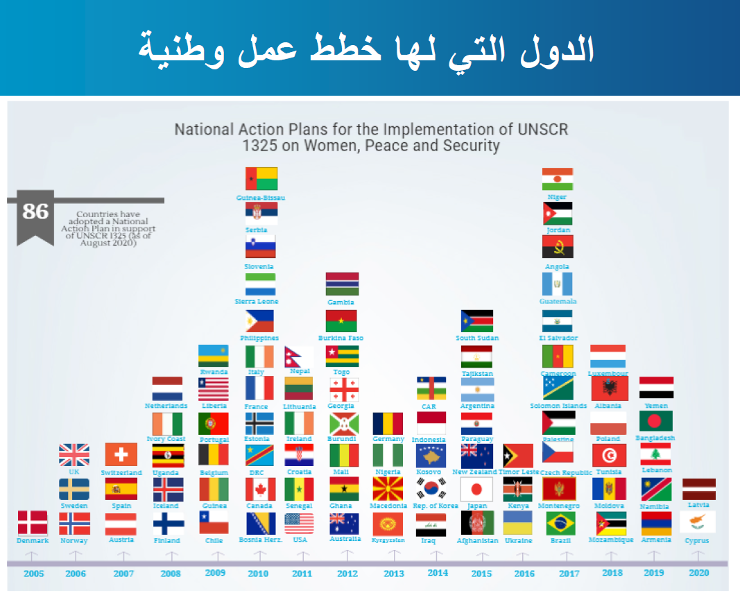 National action plans (NAPs)