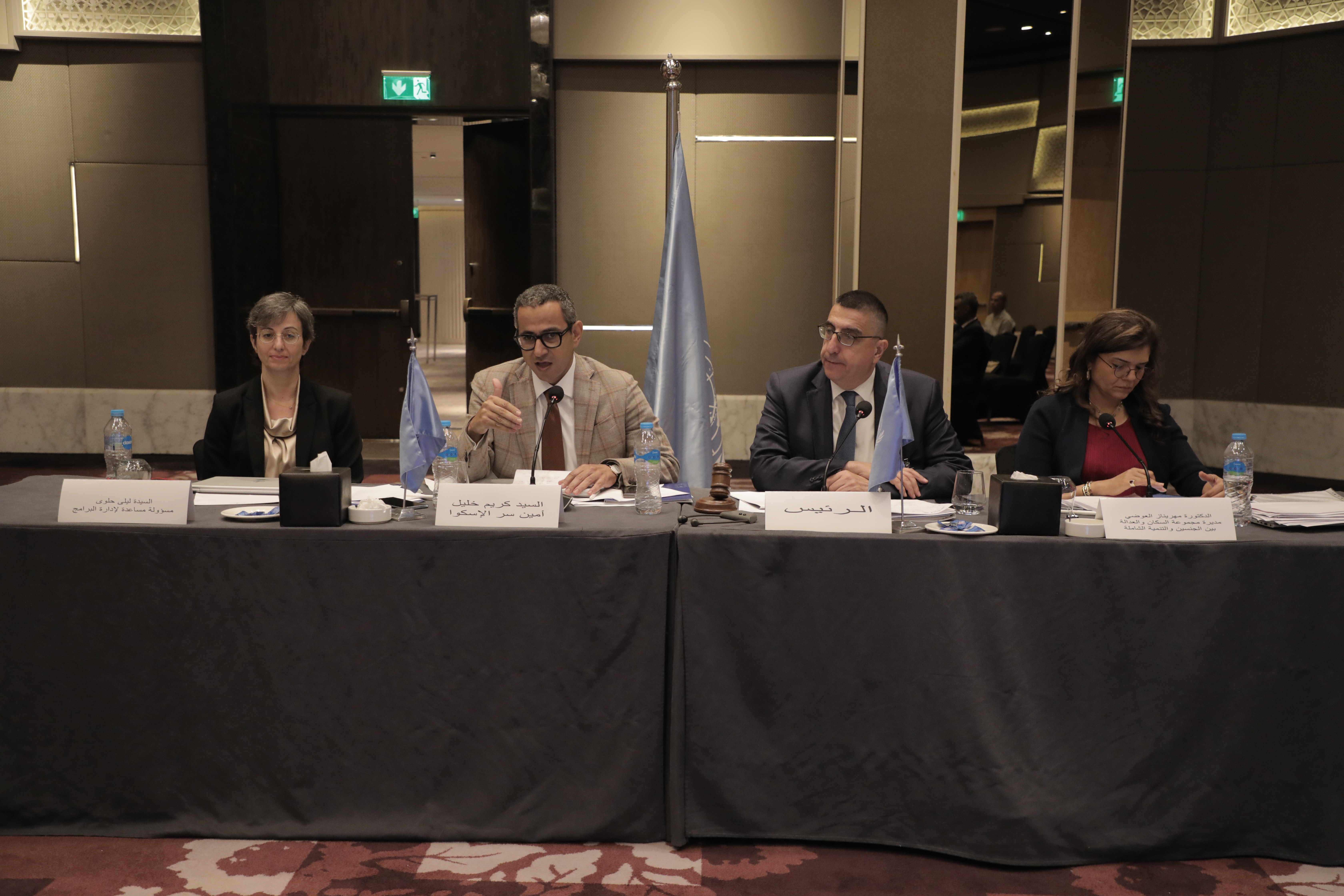 ESCWA holds 15th session of its Committee on Social Development