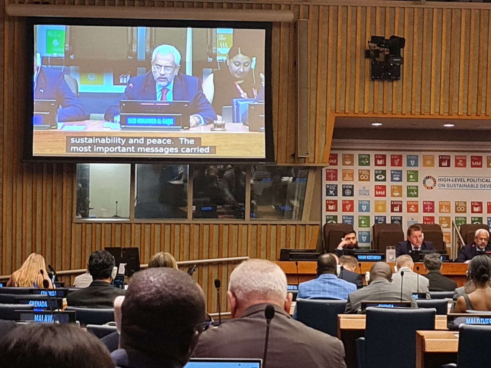 ESCWA at the High-level Political Forum on Sustainable Development