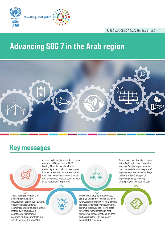 Advancing SDG 7 in the Arab region