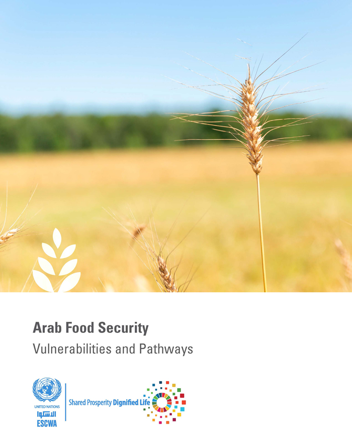 Arab Food Security: Vulnerabilities and Pathways