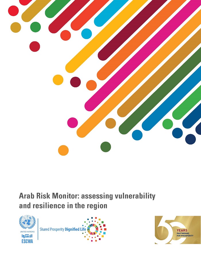 Arab Risk Monitor: assessing vulnerability and resilience in the region