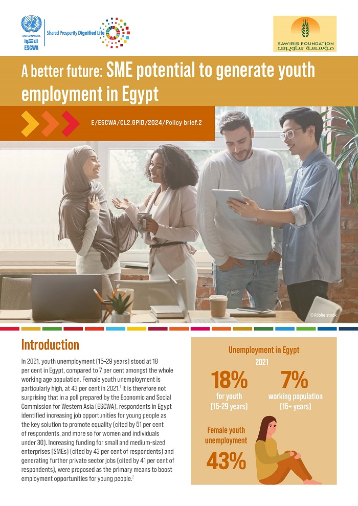 A better future: SME potential to generate youth employment in Egypt