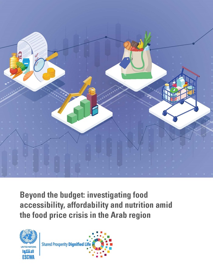 Beyond the budget: investigating food accessibility, affordability and nutrition amid the food price crisis in the Arab region