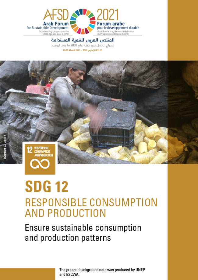 SDG 12 Background Note