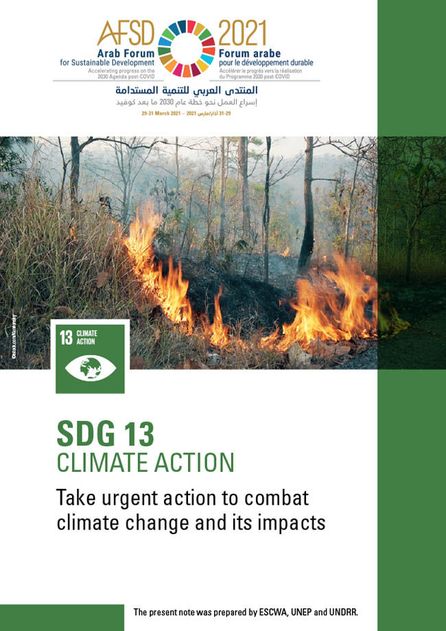 SDG 13 Background Note