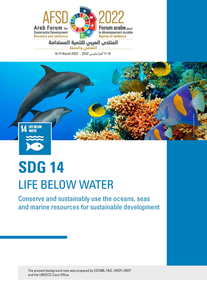 SDG 14 Background Note