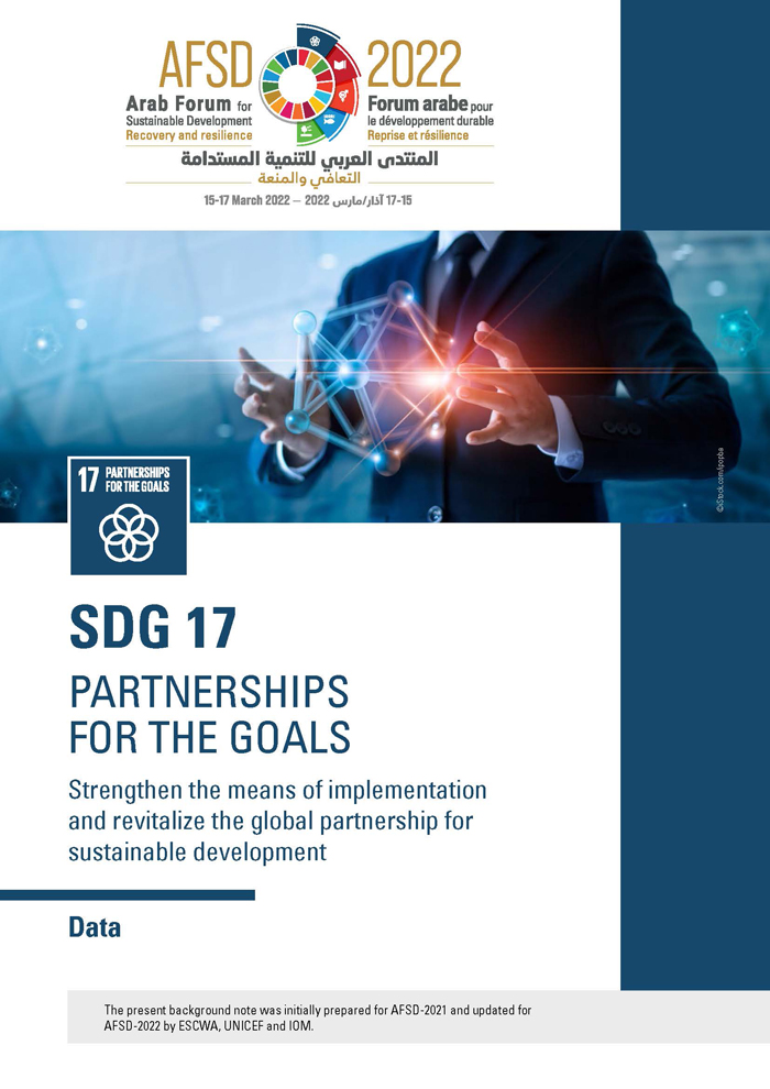 SDG 17 Background Note