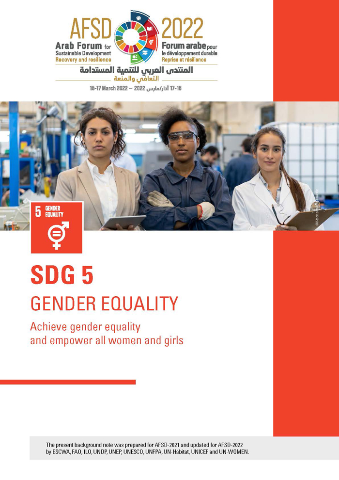 SDG 5 Background Note