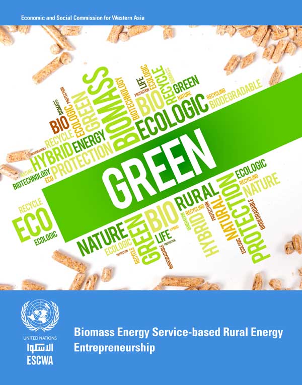 Biomass Energy Service-based Rural Energy Entrepreneurship cover