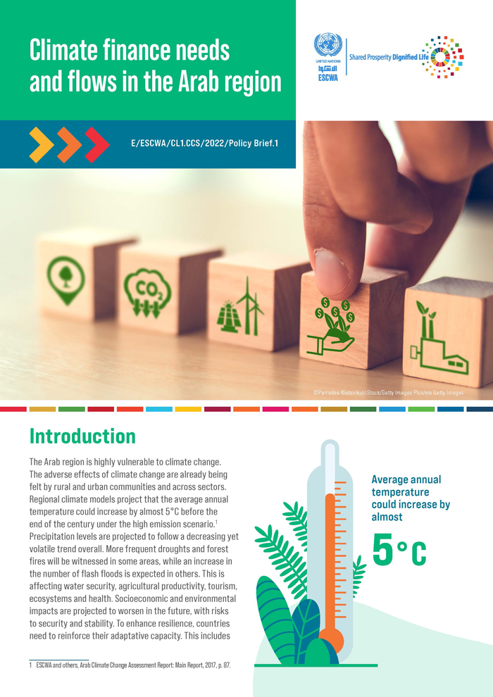 Climate finance needs and flows in the Arab region