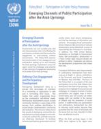 Emerging Channels of Public Participation after the Arab Uprisings, policy brief, No. 3 cover