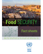 Country fact sheets on food security in the Arab region cover