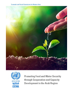 Promoting Food and Water Security through Cooperation and Capacity Development in the Arab Region cover