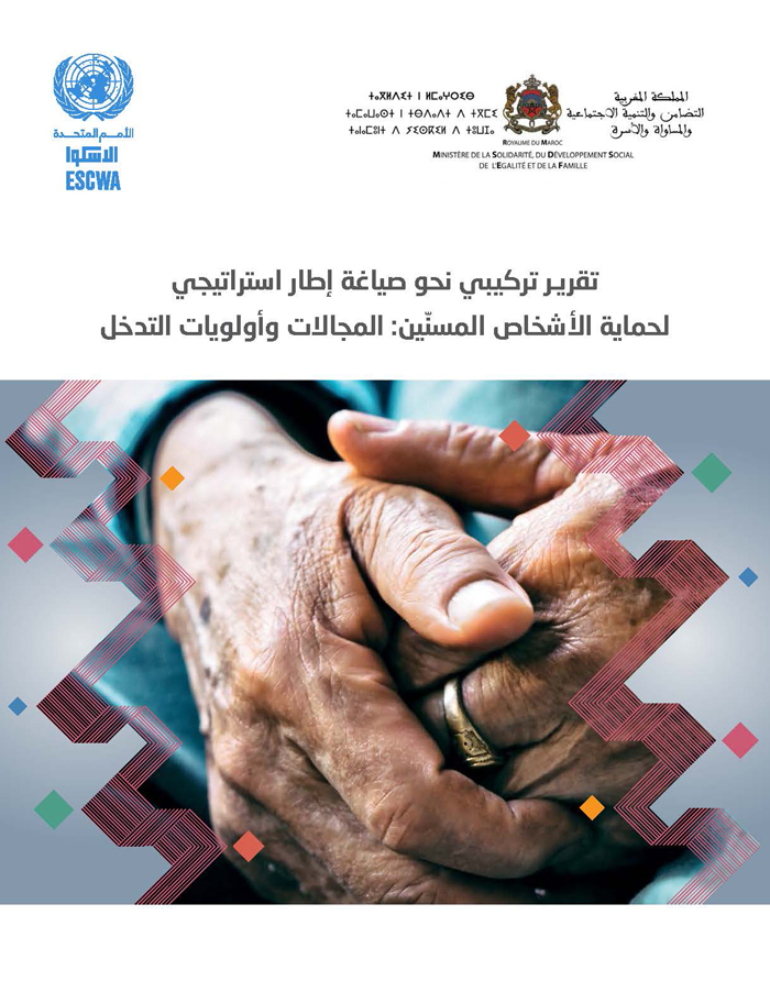 Synthesis report towards the formulation of a strategic framework to protect older persons: areas and priorities for intervention