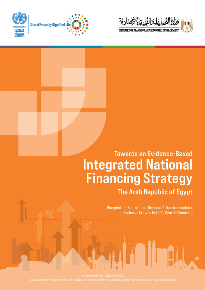 Towards an Evidence-Based Integrated National Financing Strategy: Egypt