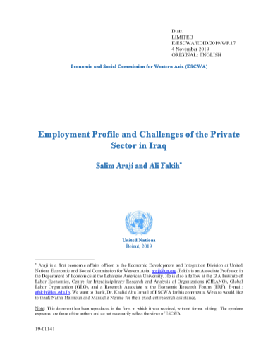 Employment Profile and Challenges of the Private Sector in Iraq