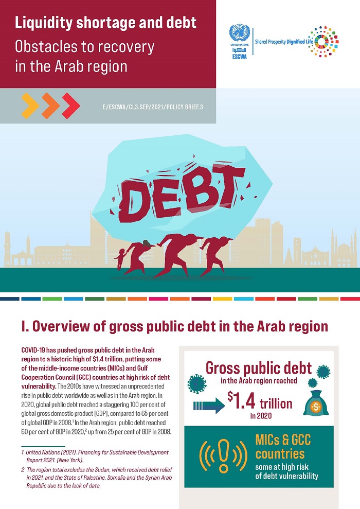 Liquidity shortage and debt: Obstacles to recovery in the Arab region