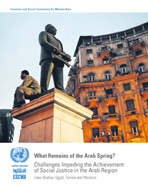 What Remains of the Arab Spring? Challenges Impeding the Achievement of Social Justice in the Arab Region cover