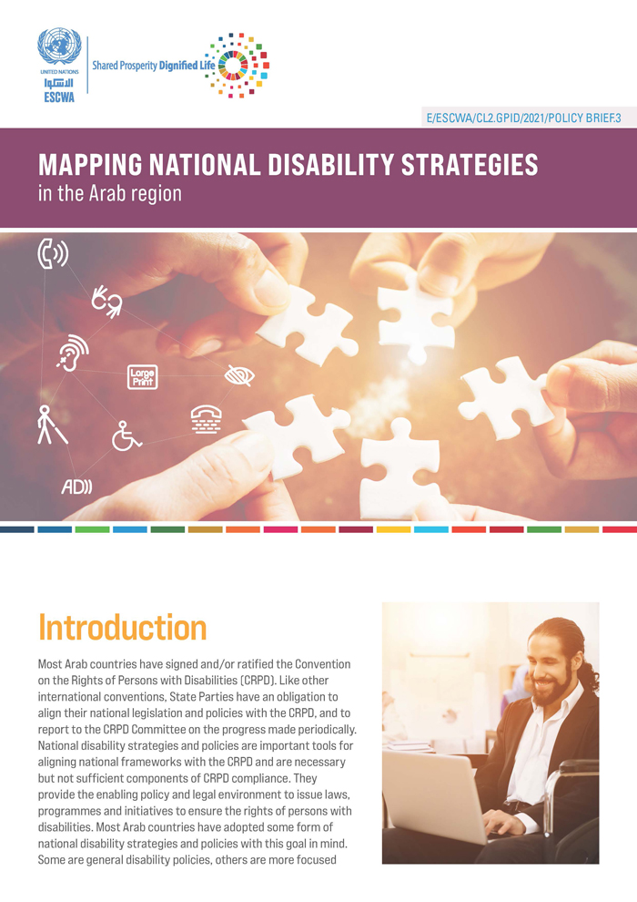 Policy brief on Mapping National Disability Strategies in the Arab Region