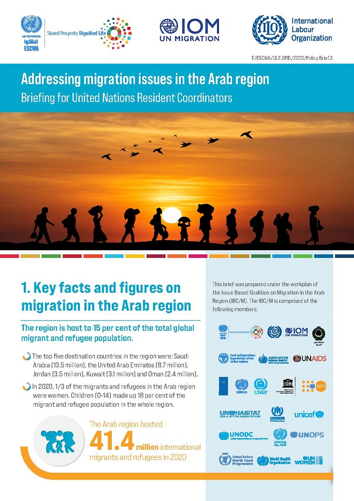 Addressing migration issues in the Arab region