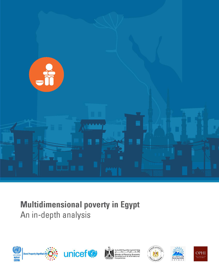 Multidimensional poverty in Egypt: An in-depth analysis