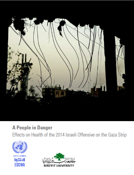 A People in Danger: Effects on Health of the 2014 Israeli Offensive on the Gaza Strip cover