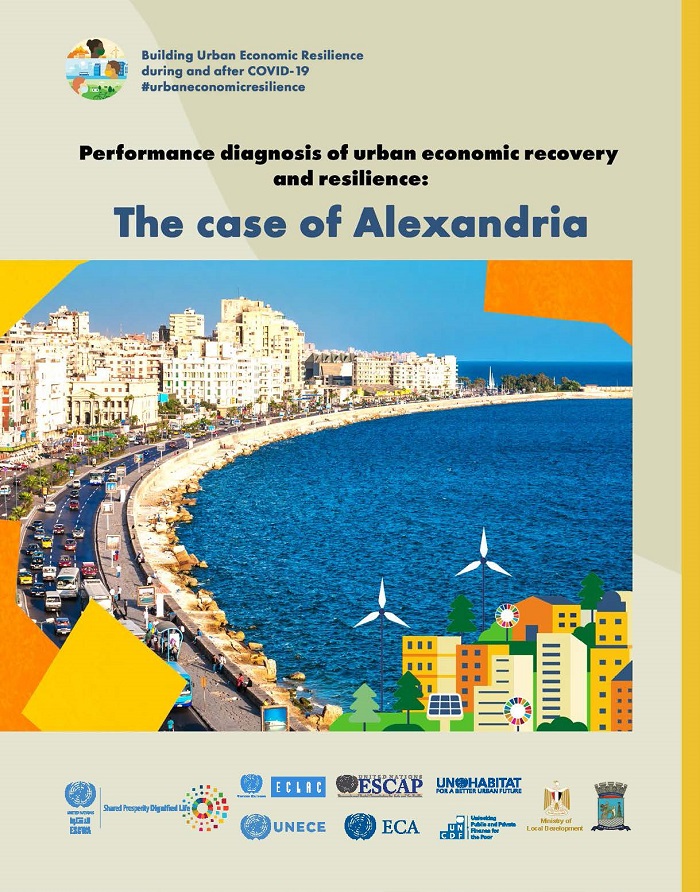 Performance diagnosis of urban economic recovery and resilience: The case of Alexandria