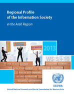 Regional profile of the information society